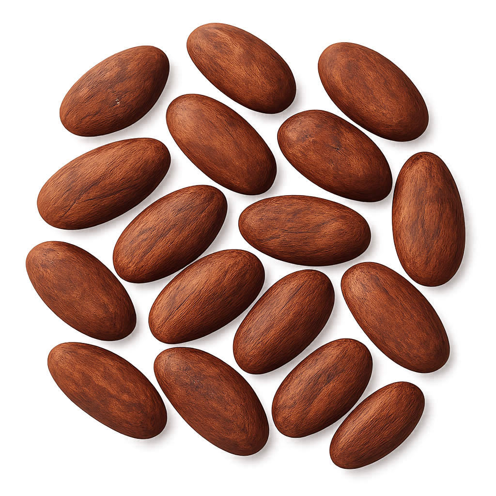 granos de cacao