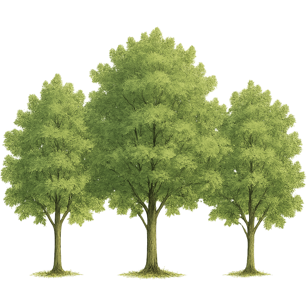 three trees
