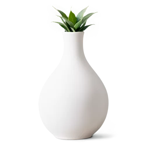 white clay ceramics high nesk vases