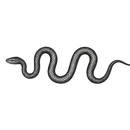 snake page divider black ink wide