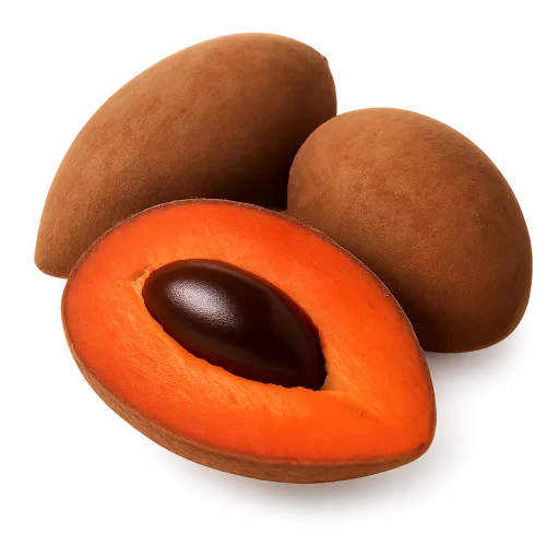 https://media.discordapp.net/attachments/1426012320034852937/1432503296081395812/OIP.jpg?ex=69014a28&is=68fff8a8&hm=414de01a27f536790a52a6958cd7b4d466934bcf4a14b4872ebdb8283c728a53&=&format=webp