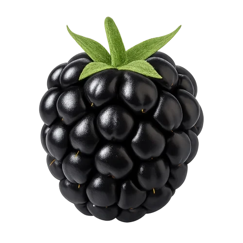 High resolution photo of berry with background removed