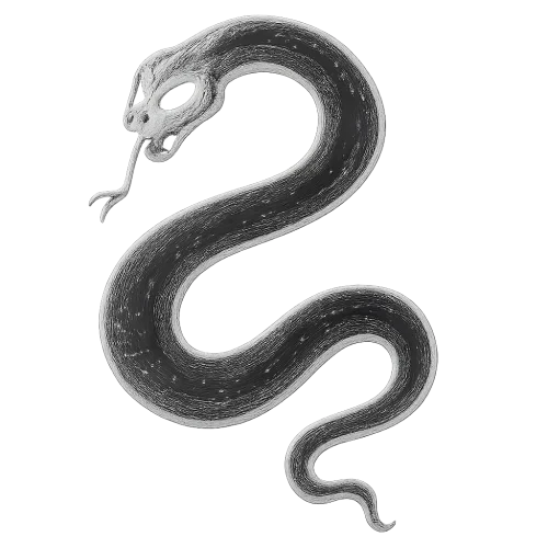 a white outline of a spooky, slithering snake in the shape of the letter S