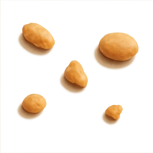 tiny scattered peanut crumbs (exactly 5 crumbs), each crumb a different size and shape, placed at different distances from each other to look naturally fallen and not arranged, soft natural roasted peanut tones, organic irregular shapes (not uniform), subtle highlights, gentle matte texture, soft warm studio lighting from above, realistic depth, slight shadow underneath each crumb to appear as if resting on a flat surface, crisp clean edges, no background, transparent PNG, high-quality food photography style, warm and cozy mood, elegant and minimal composition, artisanal handcrafted feel