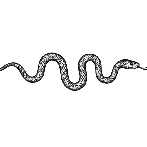 snake page divider black ink wide