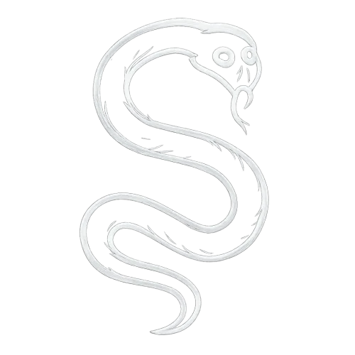 a white outline of a spooky, slithering snake in the shape of the letter S