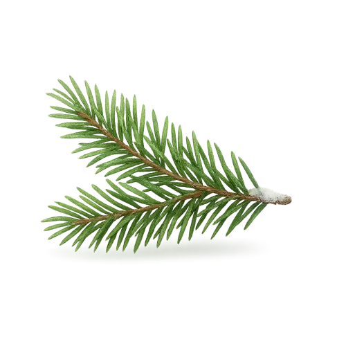 Техническое задание: Растровая ёлочная ветвь  Формат и фон:  PNG с прозрачным фоном (только ветка, края прозрачные)  Разрешение: не менее 1024×1024 px (или выше для качественного масштабирования)  Объект:  Реалистичная ёлочная ветка с иголками  Можно добавить несколько оттенков зелёного для объёма и глубины  Стиль:  Полуреалистичный или фотореалистичный  Чёткие, детализированные иголки  Лёгкий блеск/блики на иголках для натурального эффекта  Дополнительные элементы:  По желанию можно добавить пару капелек инея или мягкий снежок на ветке  Тень или слегка размытую область под веткой для объёма  Требования к изображению:  Прозрачные края (без фона)  Высокая детализация и четкость контура ветки  Использовать растровый формат PNG  Применение:  Для композиций, наклеек, коллажей и новогоднего дизайна