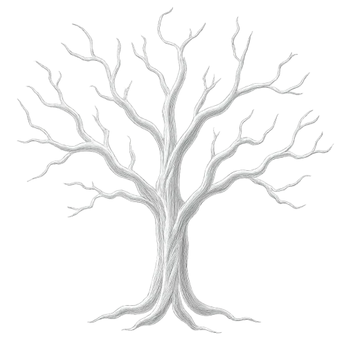 a white spooky looking tree